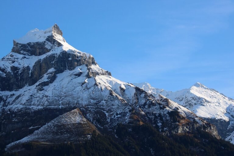 découvrez tout ce qu'il faut savoir sur la suisse : actualités, culture, destinations touristiques, économie et vie quotidienne. explorez le charme et l'excellence suisses.