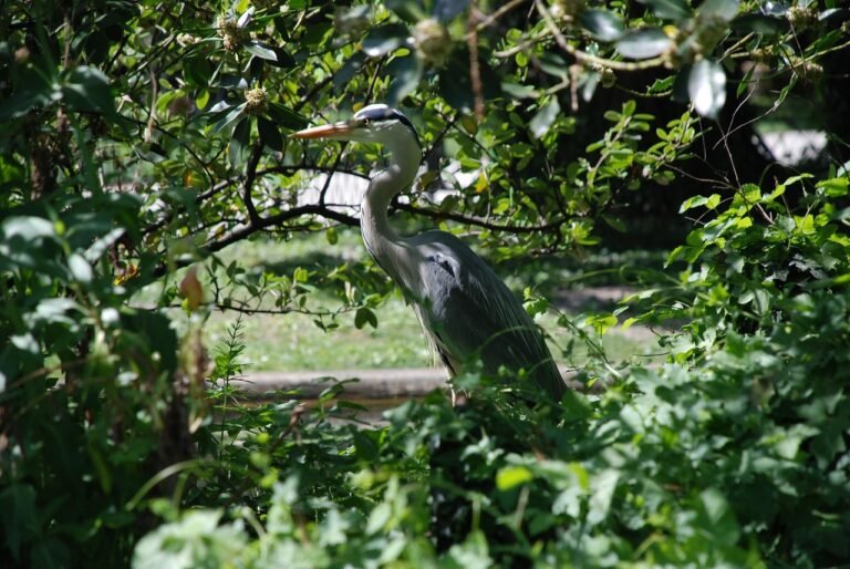 découvrez grenoble, une ville dynamique au cœur des alpes, réputée pour ses universités, son patrimoine historique, ses activités de plein air et sa qualité de vie exceptionnelle.